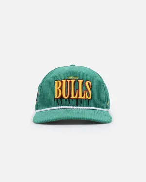 47 Brand Chicago Bulls Slasher 47 Hitch Snapback Kelly