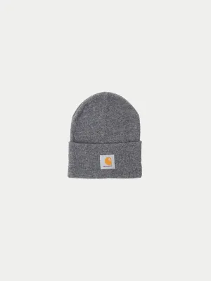 Carhartt WIP Watch Hat (Dark Grey)