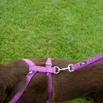 Hemp Dog Harness PLUM  Corduroy