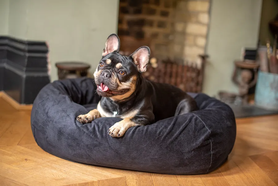 MIDNIGHT BLACK DOG BED